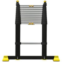 Teleskopleiter - maximale Länge 3.45m - Bamboo - maximale Arbeitshöhe 4.25m - 474111 von ECHELLE DIRECT