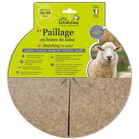 2er-Set Mulchscheiben, 600 g/m², 0,3x0,3 m Centrale Brico 2er-Set Mulchscheiben, 600 g/m², 0,3x0,3 m Centrale Brico von CENTRALE BRICO