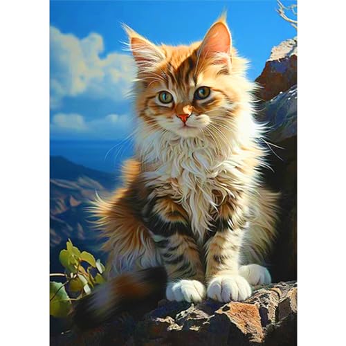 CEOVR Diamond Painting Kit Erwachsene Katze,Diamond-painting Kattun Katze,30x40 cm Diamant Paintings Kit,5D DIY Diamond Painting Bilder Set Katze auf der Klippe,Geschenk für Freunde von CEOVR