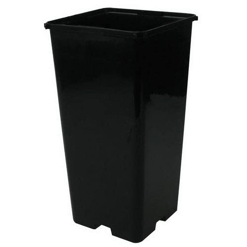 Blumentopf viereckig Schwarz CEP - 14,5x14,5x22cm (3L) von CEP