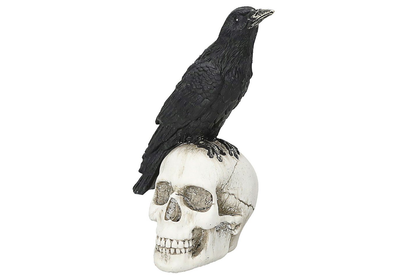 CEPEWA Dekofigur Rabe Totenschädel Polyresin 11x14x8cm Totenkopf Krähe Halloween Deko von CEPEWA