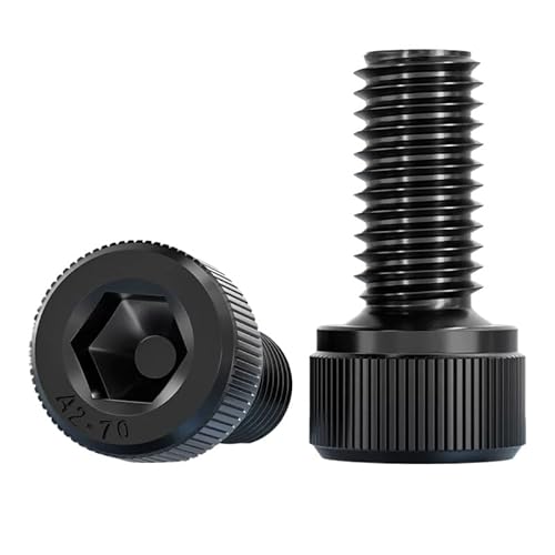 Schwarze Innensechskantschrauben aus Edelstahl SS304 – M2 M3 M4 M5 M6 – langlebig und korrosionsbeständig(100 M2.5 x 0.45 x 28mm) von CEQFSWHQ