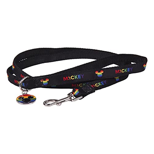 Cerdá - for Fan Pets | Disney Pride Hundeleine Kleine Hunde - Offizielle Disney Lizenz von CERDÁ LIFE'S LITTLE MOMENTS