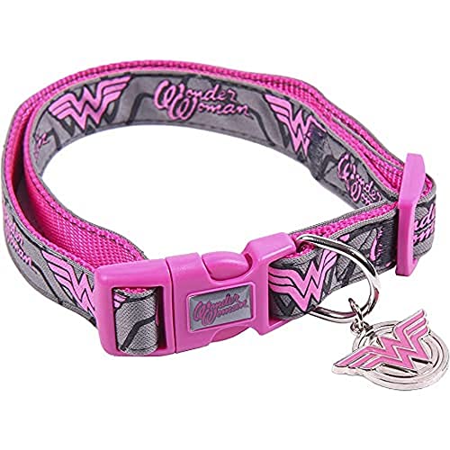 DC Comics Hundehalsband Superheores, offizielles Lizenzprodukt von CERDÁ LIFE'S LITTLE MOMENTS