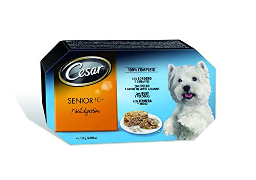 Cesar Multipack Terrine Pour Chien Senior - 4 x 150 g von CESAR