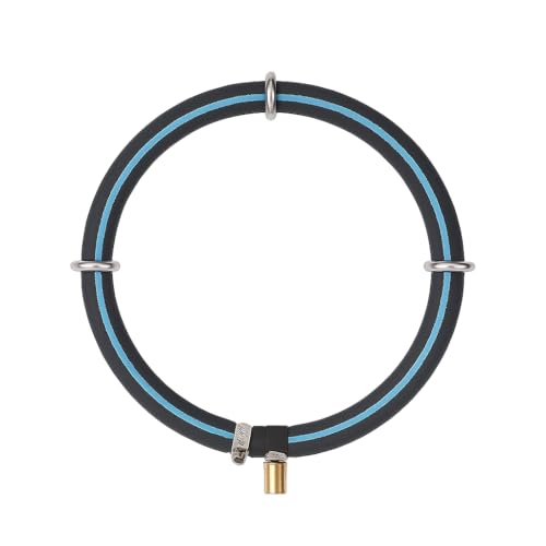 CESFRE Nano Ausströmer Ring mit 304 Edelstahl Einfach-Rahmen + 4m PVC Luftschlauch – Aquarium & Teich Luftausströmer für Fischzucht, Sauerstoffzufuhr mit Mikroblasen (Einfach-Ring Ø30cm) von CESFRE