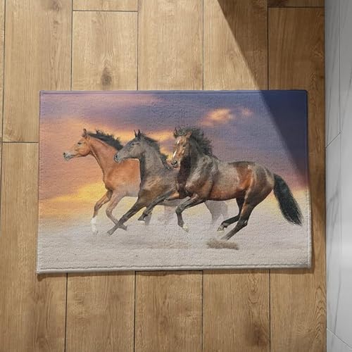 CEVAN Fußmatte Aussen Sauberlaufmatte Klein Pferd Fußmatte Outdoor XXL Türmatte Außen Schmal Weiche Flanell-Oberfläche, Anpassbares Design, rutschfeste Fußmatten 45x75cm von CEVAN