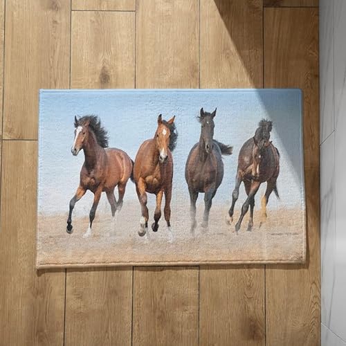 CEVAN Fußmatte Zuhause Fussmatte Terrassentür Aussen Pferd Fußmatte Lustig Türmatte Groß Bunt Weiche Flanell-Oberfläche, Anpassbares Design, rutschfeste Fußmatten 40x60cm von CEVAN