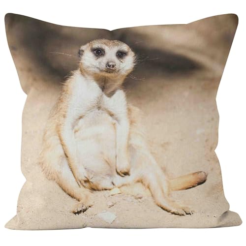 CEVAN Linen Kissenbezüge Nordisch Kissenbezug Wasserdicht Outdoor Erdmännchen Kissenbezüge Loungemöbel Kissenbezug Personalisiert Kissenbezüge Sofa Dekor 40x40cm,1Pcs von CEVAN