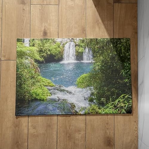 CEVAN Schmutzfangmatte Nach Maß Ohne Rand Sauberlaufmatte Innen Fallen Schmutzfangmatte Für Schuhe Fussmatte Waschbar 50x80cm von CEVAN