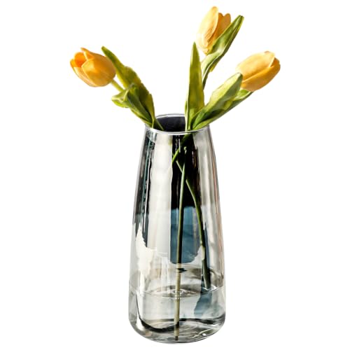 CEWROM Glasvase Konische Vase 8,8" Rauchgrau - Dekorative Blumenpflanze für Hochzeiten, Partys, Büro- oder Wohnzimmer Dekor, Kristallklar, Elegantes Design, Geschenk für jeden Anlass von CEWROM