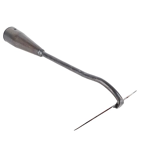 CFTGIW Stainl Steel Hohlhacke Garden Werkzeug Unkraut Rake Pflanze Gemüse Hausgarten Farm Unkraut Hohlhacke Hoegarden Toolstainl Stahl Hohl Hoestainl Stahlgarten (Color) von CFTGIW