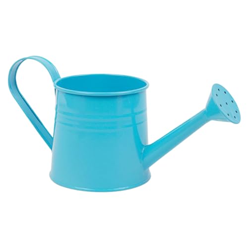 CGACCSD Bewässerung des Innenbereichs, Bewässerung von S Can – 1 l Le Spot Le Spat Le Pans Plants | Vase aus Metall, Eimer für Blumen für Fensterbank, Bücherregal von CGACCSD