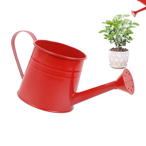 CGACCSD Bewässerung für den Innenbereich, kleine Bewässerungsbox für den Innenbereich, 1 l Le Spat Le Spat Le Pants – Vase aus Metall, Eimer für Blumen für Fensterbank, Bücherregal von CGACCSD