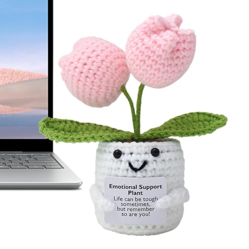 CGACCSD Emotionale Unterstützung, Häkelblume, emotionale Unterstützung, Topf | aus leichtem, positivem Strick, Häkeln mit positiven emotionalen Blumen, für Frauen und Frauen CGACCSD Emotionale Unterstützung, Häkelblume, emotionale Unterstützung, Topf | aus leichtem, positivem Strick, Häkeln mit positiven emotionalen Blumen, für Frauen und Frauen von CGACCSD