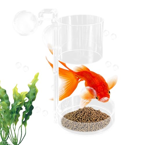 CGACCSD Futterspender für Aquarien mit schwimmendem und untertauchendem Design | Futtertablett für Fische – Futterspender für Aquarianer Anfänger und Kleinkinder von CGACCSD
