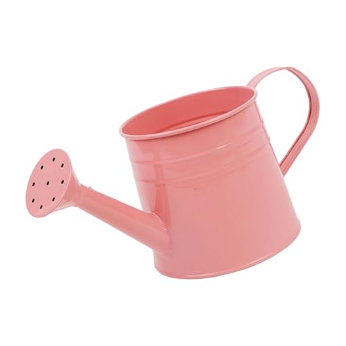 CGACCSD Kleine Bewässerungsbox, Innenbewässerung kann | 1 l Le Spot Le Spat Le Pans Plants, Vase aus Metall, Eimer für Blumen für Fensterbank, Bücherregal von CGACCSD