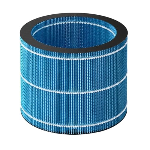 Kompatibel Mit Philips, Luftreiniger-Luftbefeuchter AC3737 00, Luftbefeuchter-Filtersieb Der 3000er-Serie, FY3455, FY3455 00(2 PCS) von CGDVYHZXT