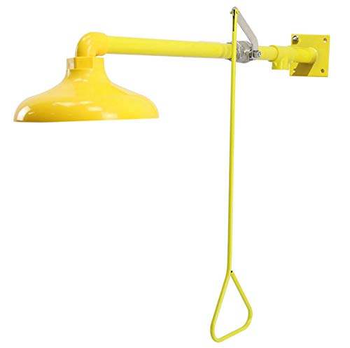 CGOLDENWALL Notfall Duschkopf Sicherheitsdusche Notfall Augenspülung Station Gesichtsreiniger (ABS-Beschichtung Edelstahl, horizontal montiert) von CGOLDENWALL