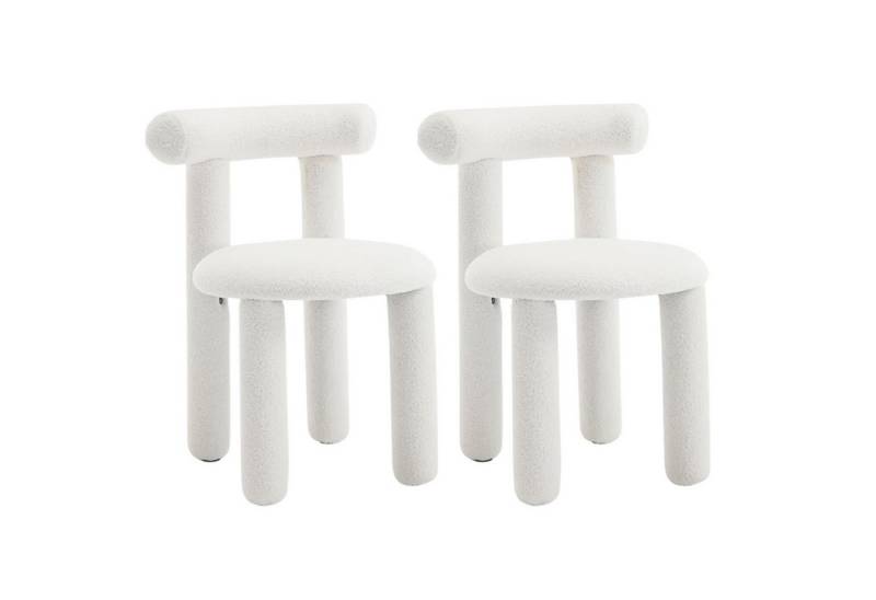CHAIRUS Esszimmerstuhl 2er Set Moderne Akzentstühle ohne Armlehne für Esszimmer von CHAIRUS