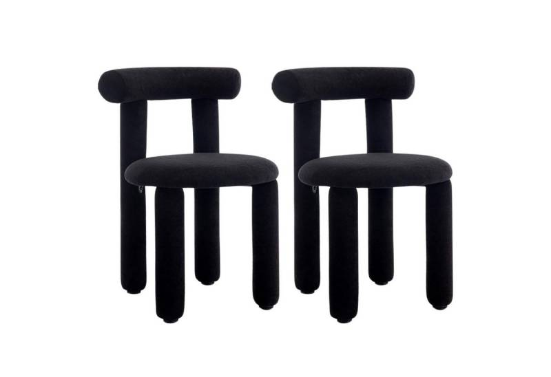 CHAIRUS Esszimmerstuhl 2er Set Moderne Akzentstühle ohne Armlehne für Esszimmer von CHAIRUS