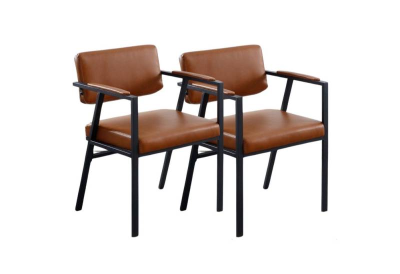 CHAIRUS Esszimmerstuhl 2er Set moderne Esszimmerstühle aus Leinen/PU-Leder mit Metallgestell (2 St) von CHAIRUS