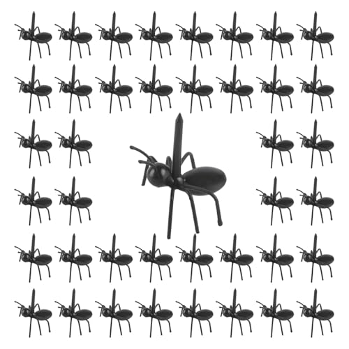 CHAMEEN Ameisen Zahnstocher 60 STK Ant Obst Gabel Kreative Food Forks Fruit Picks Wiederverwendbare Picks Ameisenfutter für Snack Dessert Gebäck Hochzeit Geburtstags Party Frucht Gabel Zahnstocher CHAMEEN Ameisen Zahnstocher 60 STK Ant Obst Gabel Kreative Food Forks Fruit Picks Wiederverwendbare Picks Ameisenfutter für Snack Dessert Gebäck Hochzeit Geburtstags Party Frucht Gabel Zahnstocher von CHAMEEN