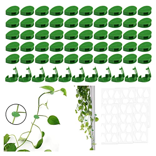 ＣＨＡＭＥＥＮ Pflanzenhalter Wand Pflanzenclips Pflanzenwand Kletterpflanzen Halterung für Plant Climbi ng Garten Wall Pflanzen 50pcs von ＣＨＡＭＥＥＮ