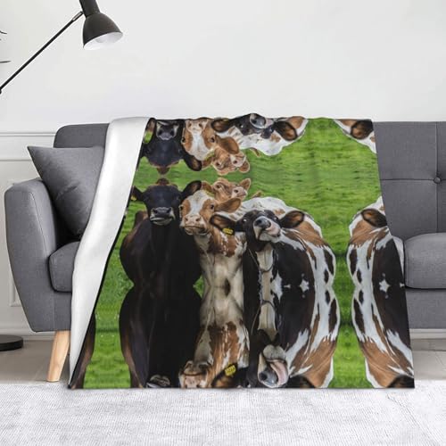 CHANGLEI Cow Grassland weiche Flanell-Fleecedecke, leicht, warm, einseitig bedruckt, für Sofa, Camping, Reisen, Anti-Pilling, maschinenwaschbar, 152,4 x 127,7 cm CHANGLEI Cow Grassland weiche Flanell-Fleecedecke, leicht, warm, einseitig bedruckt, für Sofa, Camping, Reisen, Anti-Pilling, maschinenwaschbar, 152,4 x 127,7 cm von CHANGLEI
