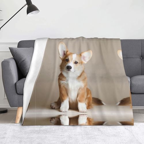 CHANGLEI Niedliche Flanell-Fleecedecke, 152,4 x 127,7 cm, leicht, warm, einseitig bedruckt, für Sofa, Camping, Reisen, Anti-Pilling, maschinenwaschbar CHANGLEI Niedliche Flanell-Fleecedecke, 152,4 x 127,7 cm, leicht, warm, einseitig bedruckt, für Sofa, Camping, Reisen, Anti-Pilling, maschinenwaschbar von CHANGLEI