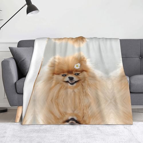 CHANGLEI Weiche Flanell-Fleecedecke, 152,4 x 127,7 cm, leicht, warm, einseitig bedruckt, für Sofa, Camping, Reisen, Anti-Pilling, maschinenwaschbar CHANGLEI Weiche Flanell-Fleecedecke, 152,4 x 127,7 cm, leicht, warm, einseitig bedruckt, für Sofa, Camping, Reisen, Anti-Pilling, maschinenwaschbar von CHANGLEI