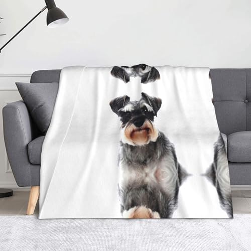 CHANGLEI Well-Behaved Dog weiche Flanell-Fleecedecke, leicht, warm, einseitig bedruckt, für Sofa, Camping, Reisen, Anti-Pilling, maschinenwaschbar, 152,4 x 127,7 cm CHANGLEI Well-Behaved Dog weiche Flanell-Fleecedecke, leicht, warm, einseitig bedruckt, für Sofa, Camping, Reisen, Anti-Pilling, maschinenwaschbar, 152,4 x 127,7 cm von CHANGLEI