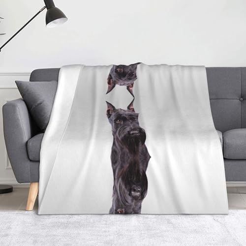 Weiche Flanell-Fleecedecke mit Schnauzerhund, 152,4 x 127,7 cm, leicht, warm, einseitig bedruckt, für Sofa, Camping, Reisen, Anti-Pilling, maschinenwaschbar Weiche Flanell-Fleecedecke mit Schnauzerhund, 152,4 x 127,7 cm, leicht, warm, einseitig bedruckt, für Sofa, Camping, Reisen, Anti-Pilling, maschinenwaschbar von CHANGLEI