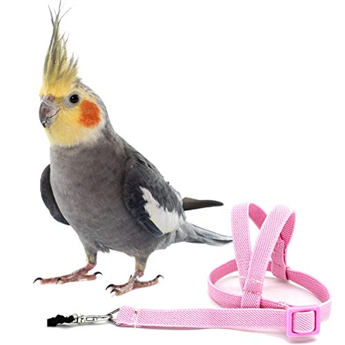 CHAODI Haustier Vogel Papageien Gurt Leine, Justierbare Vogel Flugwesen Harness Zugseil, Anti-bite Outdoor Training Zubehör Für Papageien Tauben Wellensittich von CHAODI