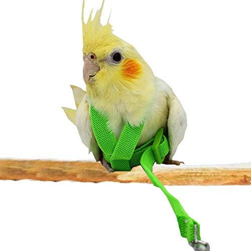 CHAODI Haustier Vogel Papageien Gurt Leine, Justierbare Vogel Flugwesen Harness Zugseil, Anti-bite Outdoor Training Zubehör Für Papageien Tauben Wellensittich von CHAODI