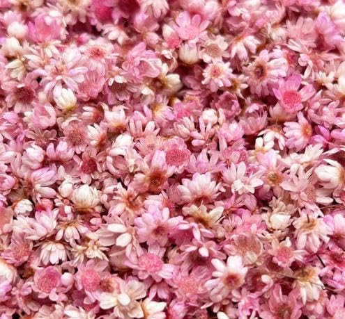 720 Stücke Trockenblumen zum Basteln Trockenblumen Getrocknete Blumen Deko Set Seife Selber Machen DIY Kerzen Gießen Zubehör Nagelkunst Handyhülle Schmuck Ohrringe Getrocknet (Rosa) von CHAOTEMAI