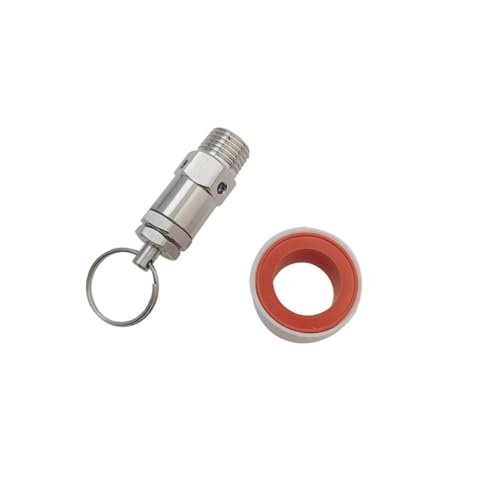 CHAOUYYZ 1/8" 1/4" Bsp Außengewinde, Edelsta304, Mini-Einstellbares Druckbegrenzungs-Sicherheitsventil, Ptfe-Gewindeband Für Selbstgebrautes Bier/2 Bar/1/4" von CHAOUYYZ