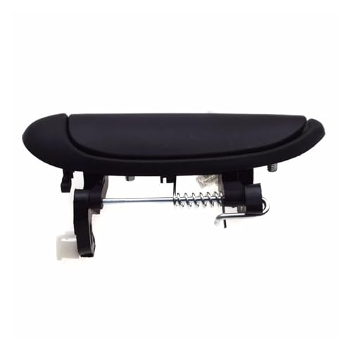 CHAOYUEYOUPIN Für R&enault Für Clio II Für Megane Für Scenic Für Logan Äußerer Türaußengriff Vorne Oder Hinten Links Und Rechts (Farbe : Vorne oder hinten links) von CHAOYUEYOUPIN