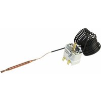 Thermostat TXA 4C 018 Thermostat TXA 4C 018 von CHAPPEE