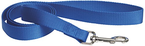 CHAPUIS SELLERIE SLA126 Hundeleine - Nylongurt blau - Breite 25 mm - Länge 1,20 m - Größe L von CHAPUIS SELLERIE