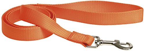 CHAPUIS SELLERIE SLA145 Hundeleine - Nylongurt orange - Breite 20 mm - Länge 1,20 m - Größe M von CHAPUIS SELLERIE