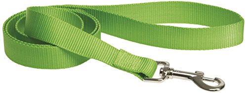 CHAPUIS SELLERIE SLA151 Hunde- und Katzenleine - Nylongurt grün - Breite 10 mm - Länge 1,20 m - Größe XS von CHAPUIS SELLERIE