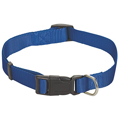 CHAPUIS SELLERIE SLA163 Verstellbares Hunde- und Katzenhalsband - Nylongurt blau - Breite 10 mm - Länge 20-35 cm - Größe XS von CHAPUIS SELLERIE