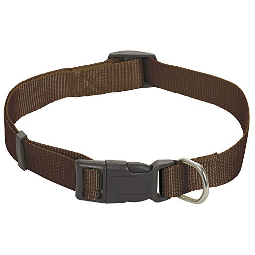 CHAPUIS SELLERIE SLA177 Verstellbares Hundehalsband - Nylongurt braun - Breite 20 mm - Länge 35-60 cm - Größe M von CHAPUIS SELLERIE