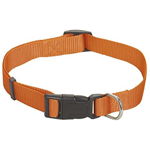 CHAPUIS SELLERIE SLA186 Verstellbares Hundehalsband - Nylongurt orange - Breite 25 mm - Länge 38-65 cm - Größe L CHAPUIS SELLERIE SLA186 Verstellbares Hundehalsband - Nylongurt orange - Breite 25 mm - Länge 38-65 cm - Größe L von CHAPUIS SELLERIE