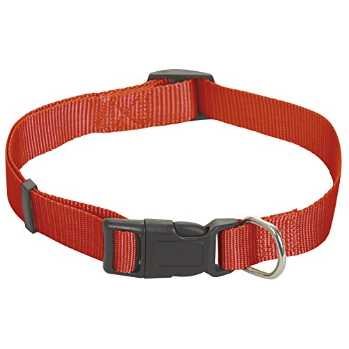 CHAPUIS SELLERIE SLA188 Verstellbares Hundehalsband - Nylongurt rot - Breite 15 mm - Länge 35-50 cm - Größe S von CHAPUIS SELLERIE