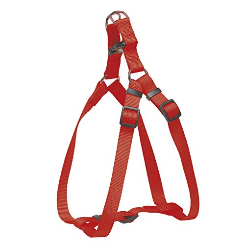 CHAPUIS SELLERIE SLA228 Verstellbares Hundegeschirr - Nylongurt rot - Breite 15 mm - Maße 35-50 cm - Größe S von CHAPUIS SELLERIE