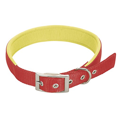 CHAPUIS SELLERIE SLA268 Hundehalsband - Komfort-Nylongurt rot - Breite 25 mm - Länge 55 cm - Größe L von CHAPUIS SELLERIE