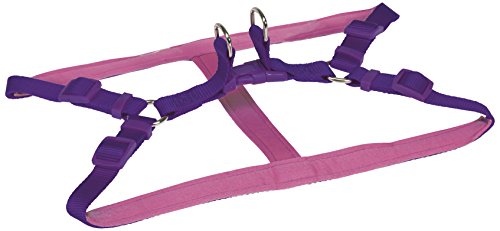 CHAPUIS SELLERIE SLA291 Verstellbares Hundegeschirr - Komfort-Nylongurt violett - Breite 20 mm - Maße 50-70 cm - Größe S von CHAPUIS SELLERIE