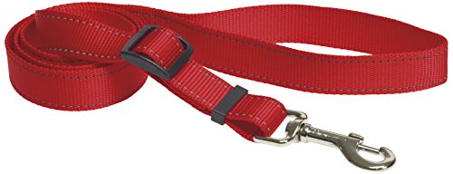 CHAPUIS SELLERIE SLA324 Reflektierende Hundeleine - Verstärkter Nylongurt rot - Breite 20 mm - Länge 1,20 m - Größe S CHAPUIS SELLERIE SLA324 Reflektierende Hundeleine - Verstärkter Nylongurt rot - Breite 20 mm - Länge 1,20 m - Größe S von CHAPUIS SELLERIE